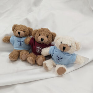 キーチェーンくまちゃん0.7サイズ本体茶×水色服売り切れです。